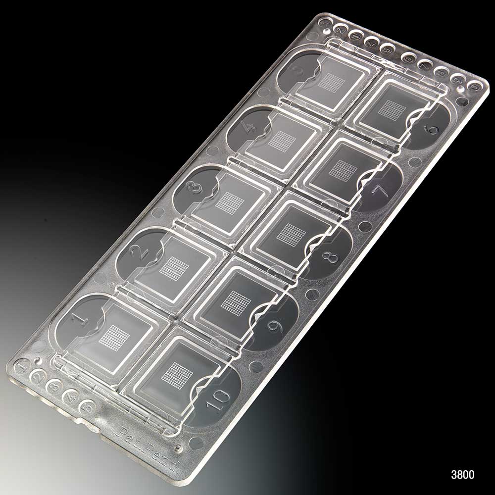 Globe Scientific Quick-Read Precision Grid Urinalysis Slide with Counting Grid, 10 Wells/Slide, 100 Slides/Box (1000 Tests) Image